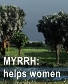 Ormus Rich MSM Skin Cream with Myrrh Ormus Rich MSM Skin Cream with Myrrh